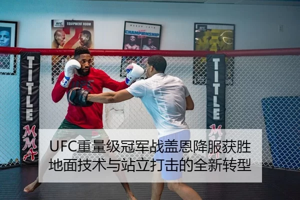 UFC重量级冠军战盖恩降服获胜 地面技术与站立打击的全新转型